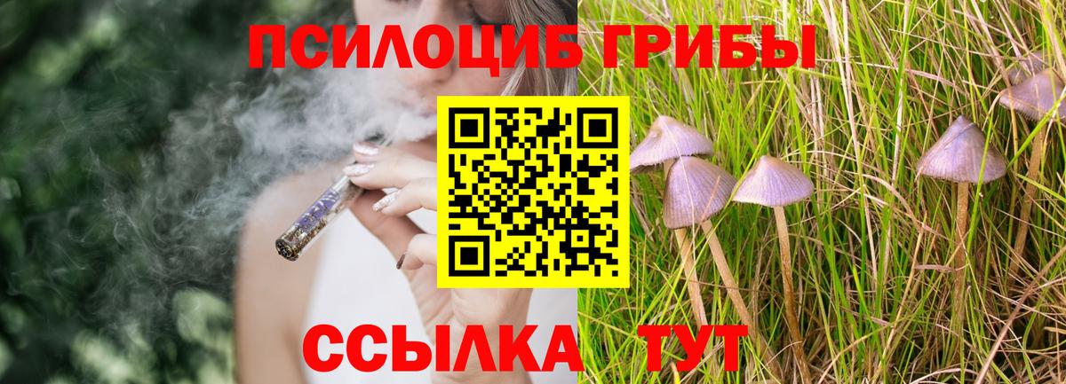Электросталь  Галлюциногенные грибы Psilocybine cubensis  Вход с VPN  Галлюциногенные грибы Psilocybe 
